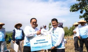 Screenshot_20240808-225238_WhatsApp