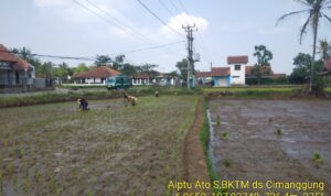 IMG-20241113-WA0095