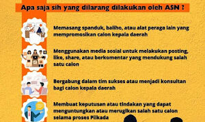 IMG-20241128-WA0026
