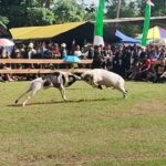 Screenshot_20251109-104605_WhatsApp