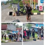 Screenshot_20251115-094856_Gallery