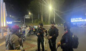 44brmb
