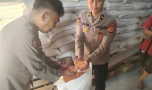 IMG-20260613-WA0003